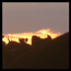 photography_005