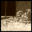 photography_007